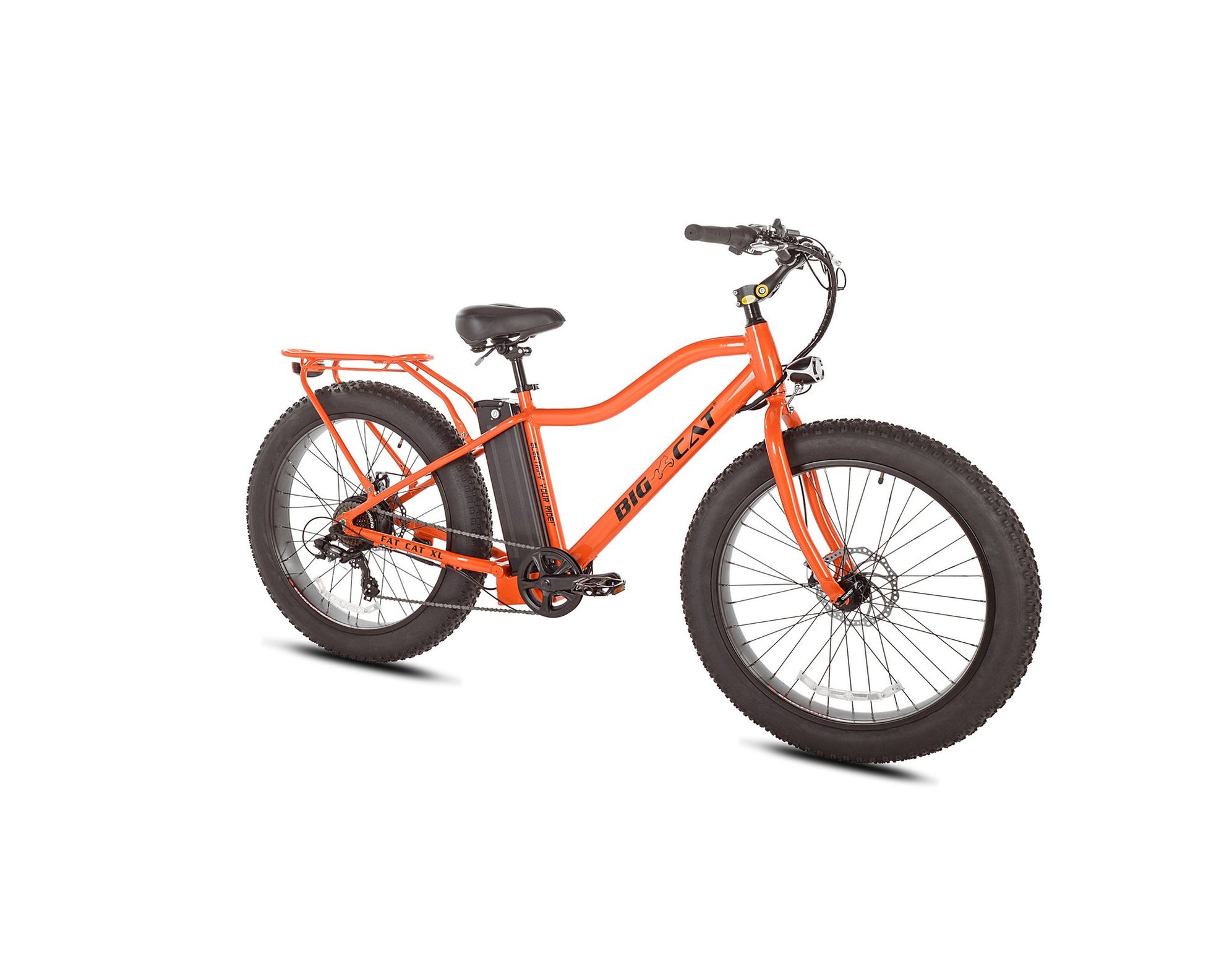 fat cat electric bike review