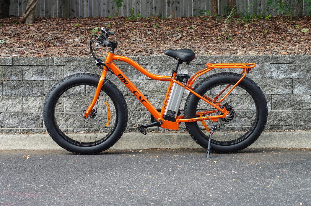 fat cat electric bike review