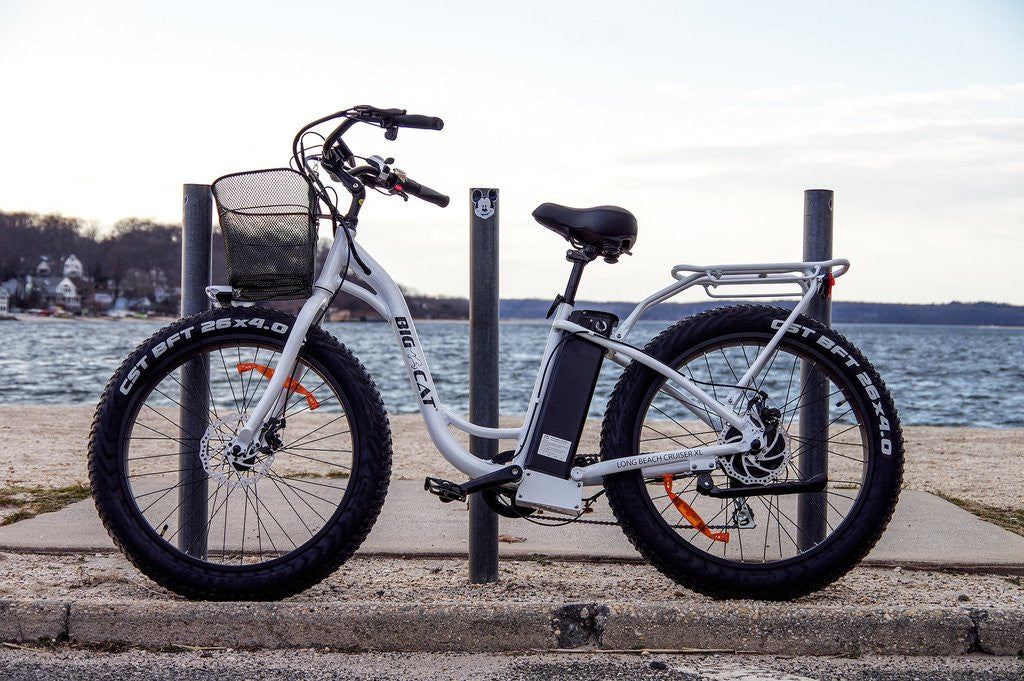 xxl beach cruiser