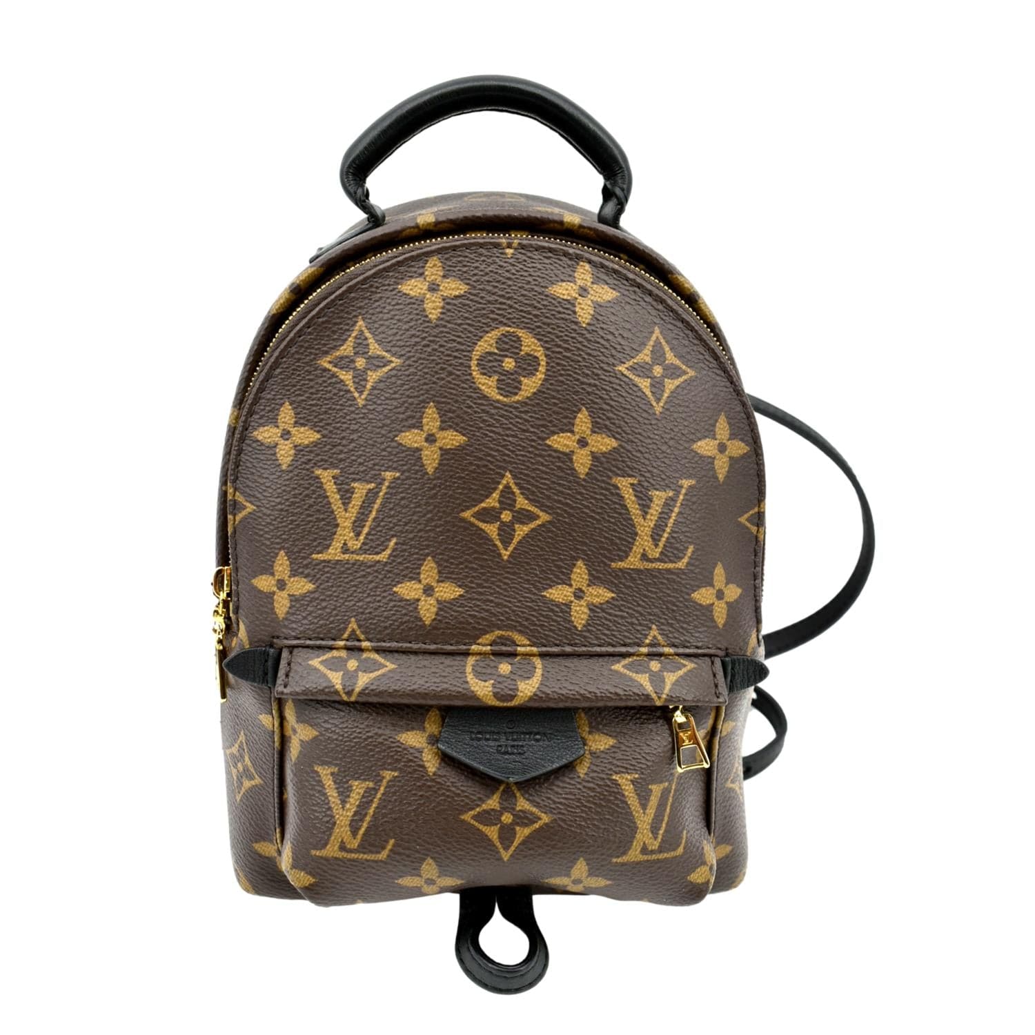 Louis Vuitton Palm Springs Mini Monogram