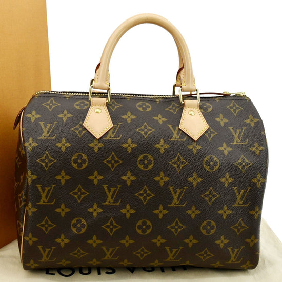 Louis Vuitton Monogram Hand Painted Speedy Bag 30 Brown