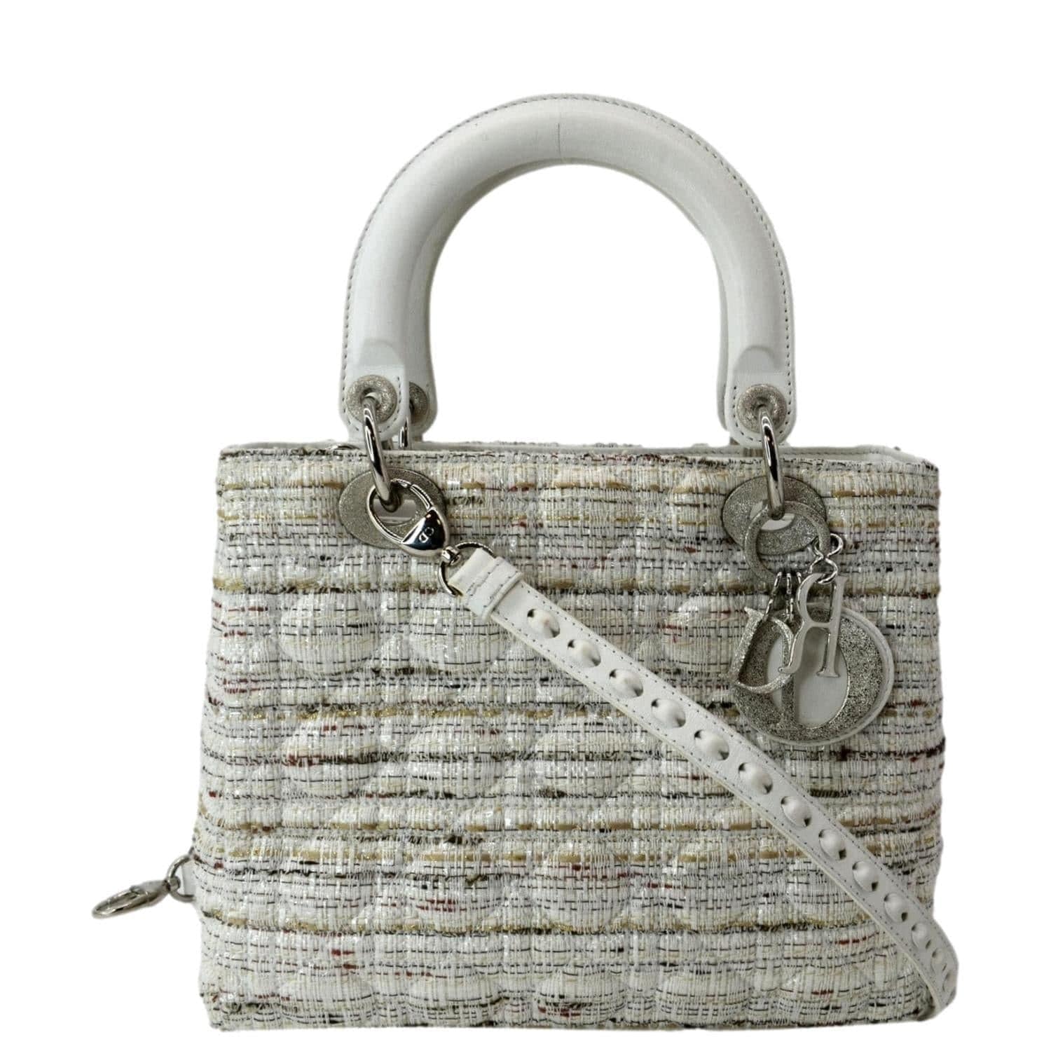 Limited Edition Lady Dior Multicolored Judgment Bag