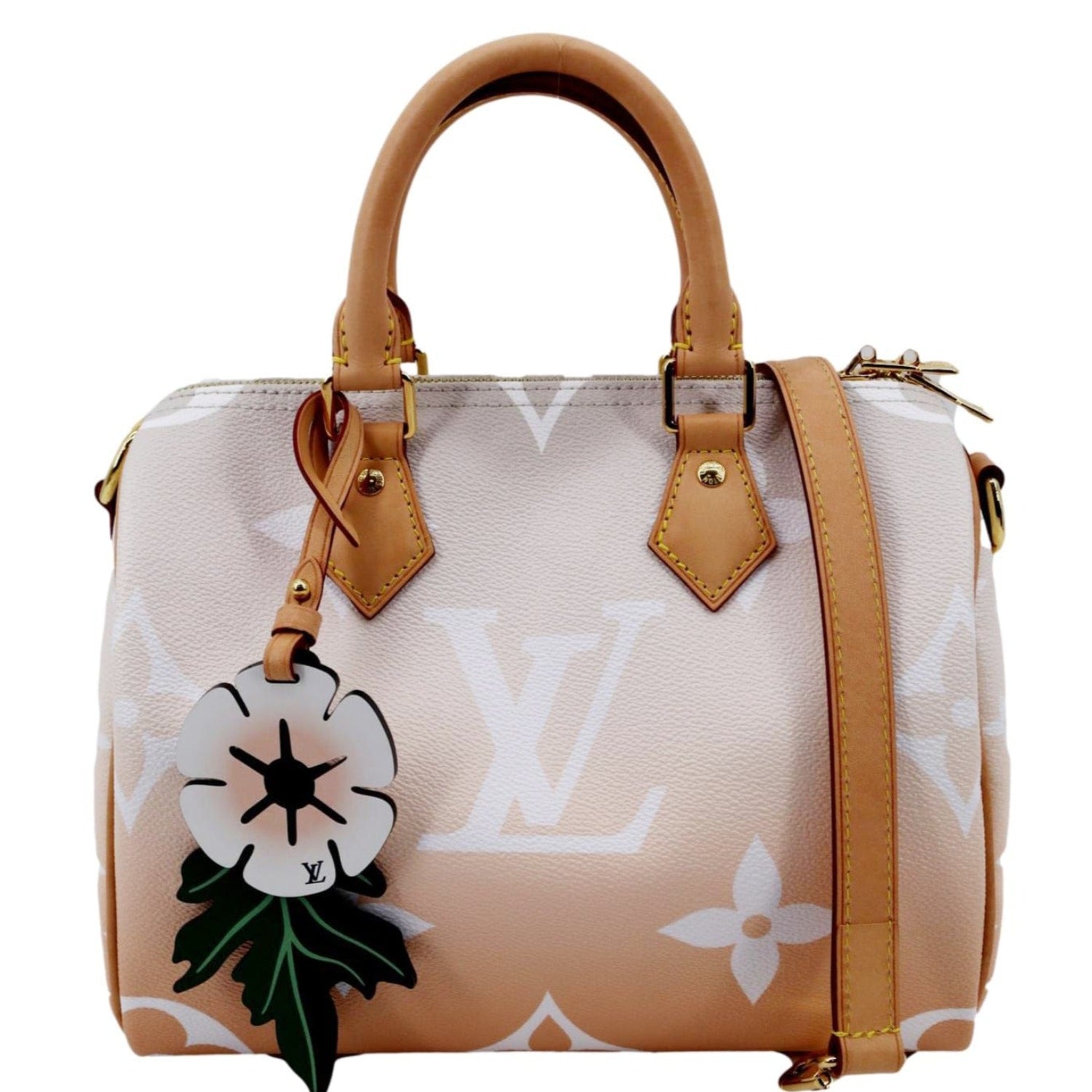 Louis Vuitton Speedy 25 Bandouliere By The Pool Brume Mist Gray NEW IN BOX