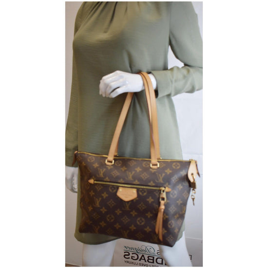 Louis Vuitton Iena Monogram PM Brown - US