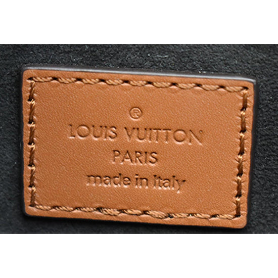Louis Vuitton Monogram & Monogram Reverse Canvas Mini Dauphine Bag –  FashionsZila