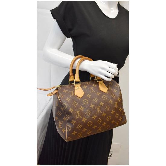 Superb Louis Vuitton Speedy bag 25 in custom Monogram canvas Rainbow  Brown Leather Cloth ref.280740 - Joli Closet