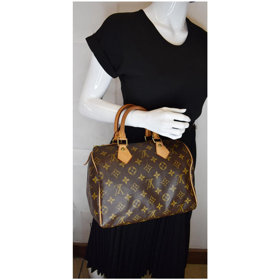 Speedy linen handbag Louis Vuitton Brown in Linen - 20815400