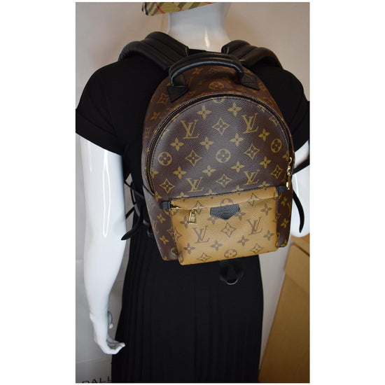 Brown Louis Vuitton Monogram Reverse Palm Springs PM Backpack – Designer  Revival