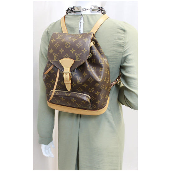 Brown Louis Vuitton Monogram Montsouris PM Backpack