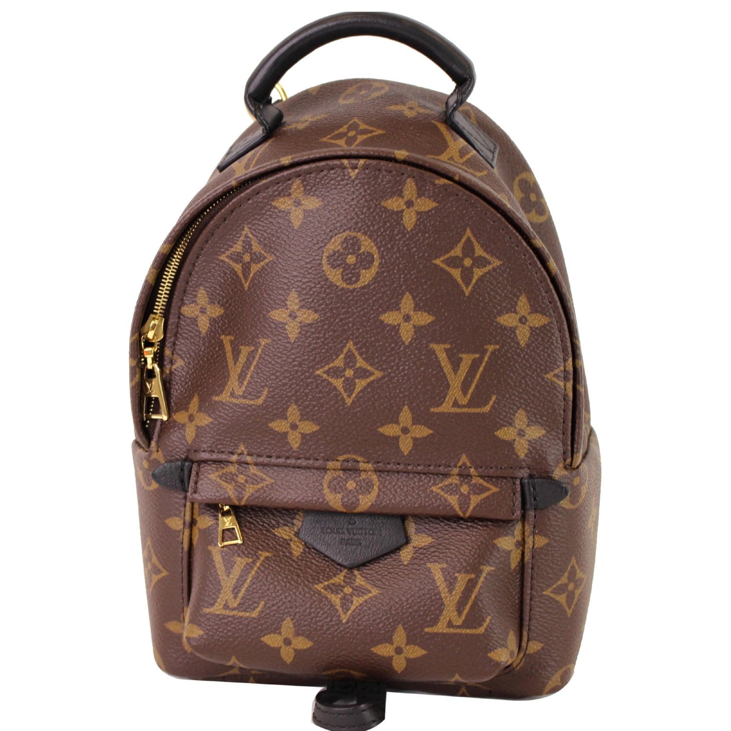 Louis Vuitton Palm Springs Mini Monogram