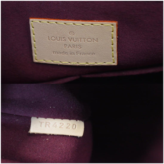 Louis Vuitton Brown Monogram Soufflot MM Cloth ref.1033005 - Joli