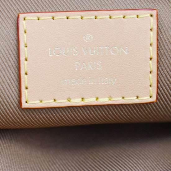 Louis Vuitton Utility Phone Sleeve Monogram shoulder/crossbody chain bag LV  rare