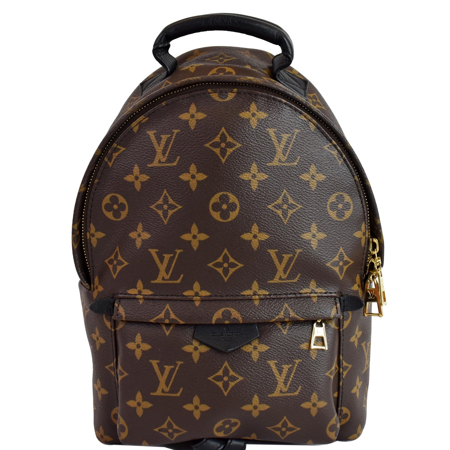 Louis Vuitton Palm Springs PM Monogram Canvas Backpack