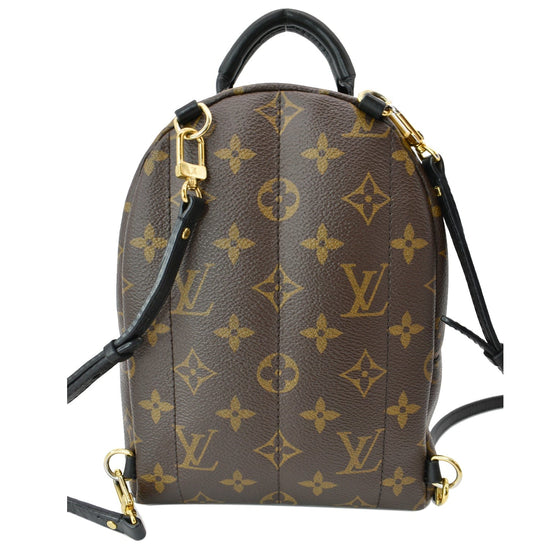 Louis+Vuitton+Palm+Springs+Backpack+Mini+Brown+Canvas+Monogram for