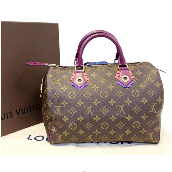 louis vuitton totem speedy