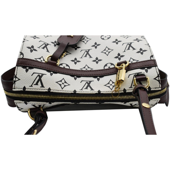 louis vuitton amazon speedy