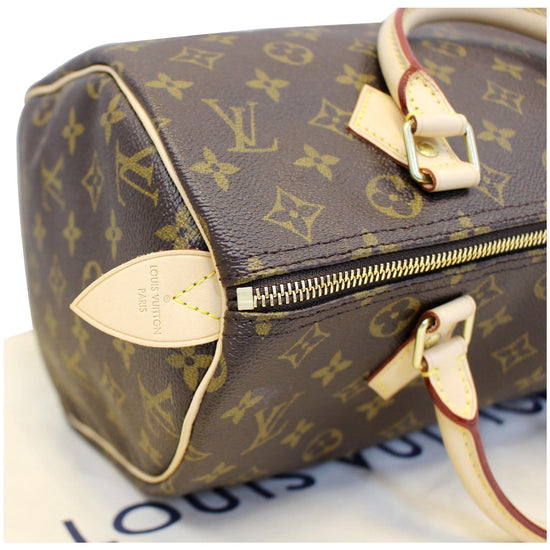 Louis Vuitton Speedy Handbag 242116