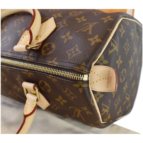 Speedy cloth handbag Louis Vuitton Brown in Cloth - 33849603