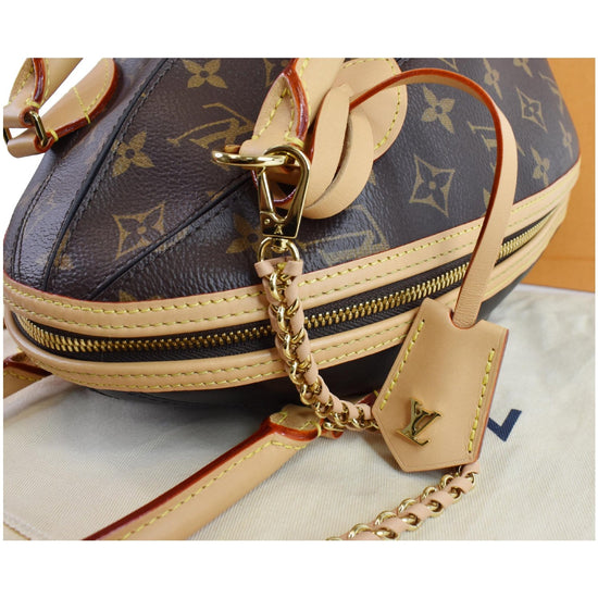 Louis Vuitton Monogram Canvas and Calfskin Leather Egg Bag