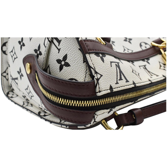 Louis Vuitton Speedy  PM Monogram Canvas Bag