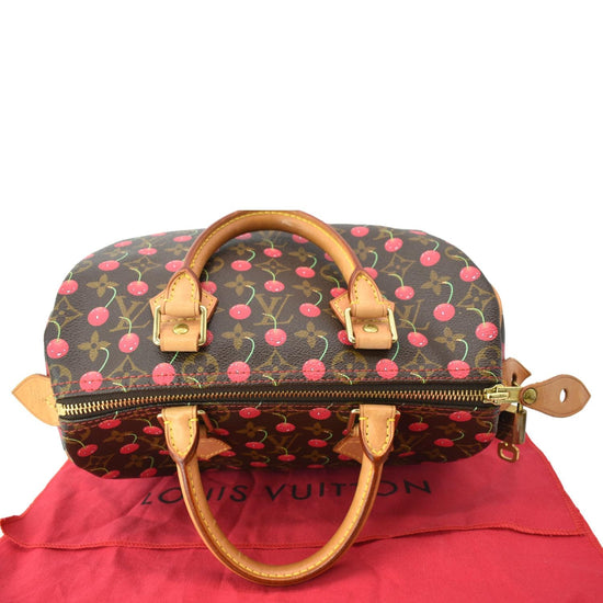 Louis Vuitton Speedy 25 Cherry Monogram Bag - Farfetch