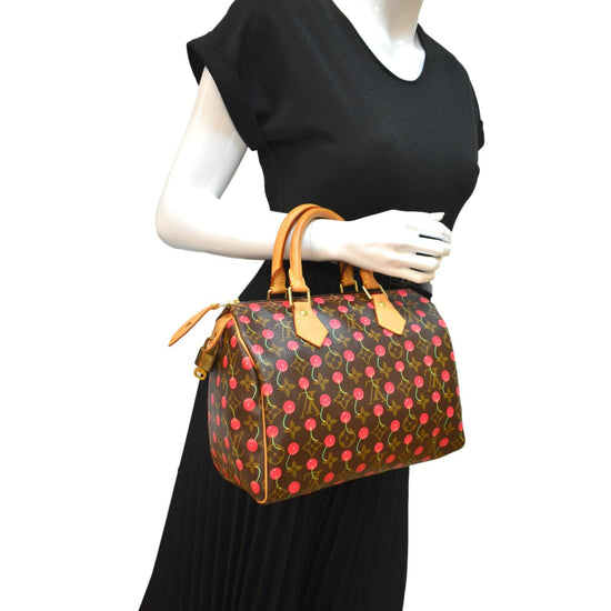 Louis Vuitton Speedy 25 Cherry Monogram Handbag - Farfetch