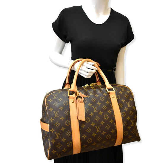 Carry all cloth handbag Louis Vuitton Brown in Cloth - 32570921