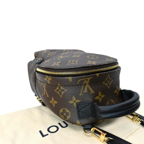 Brown Louis Vuitton Monogram Mini Palm Springs Backpack – Designer Revival