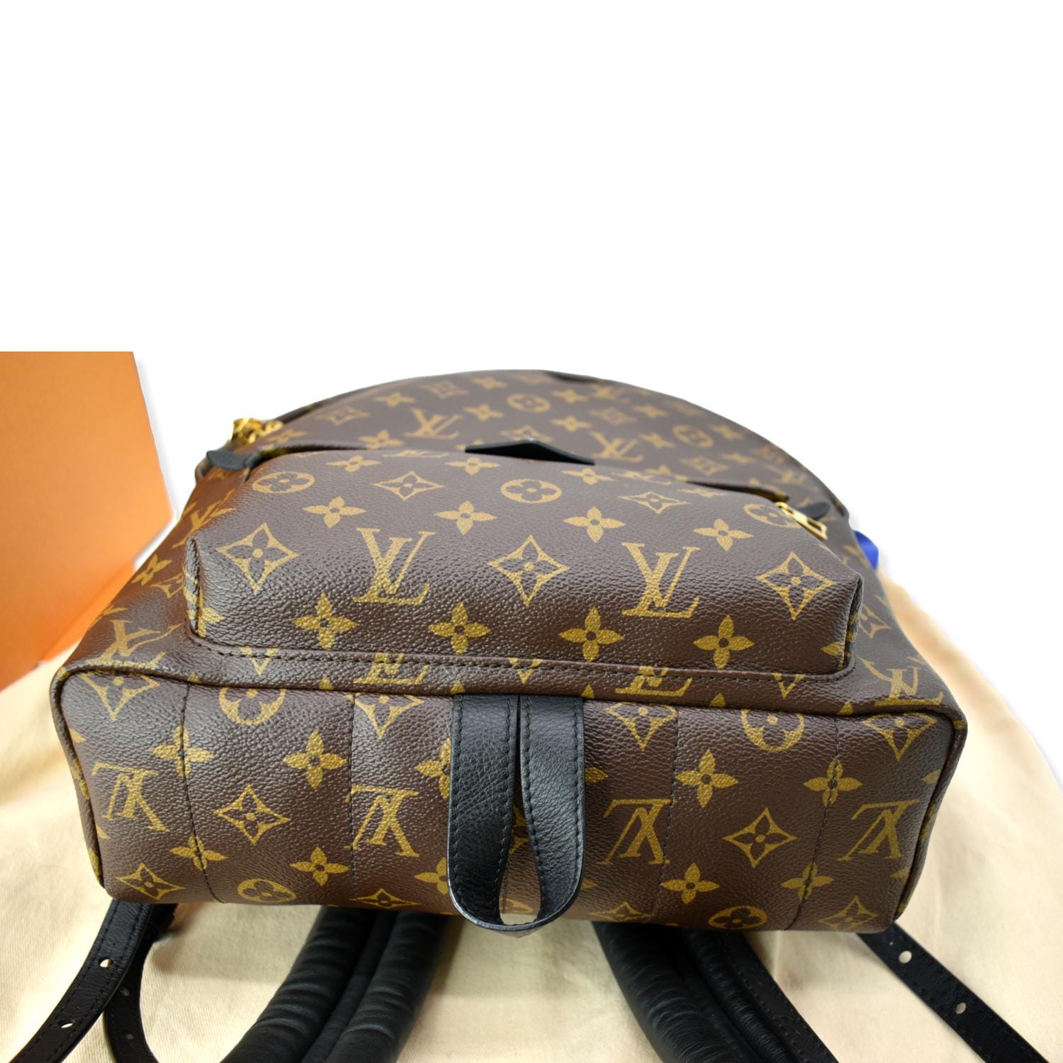 Louis Vuitton Palm Springs Backpack Monogram Canvas MM Brown 2174701