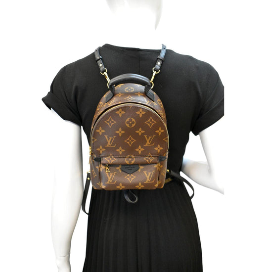 Louis Vuitton Mini Monogram Palm Springs - Brown Backpacks, Handbags -  LOU616425