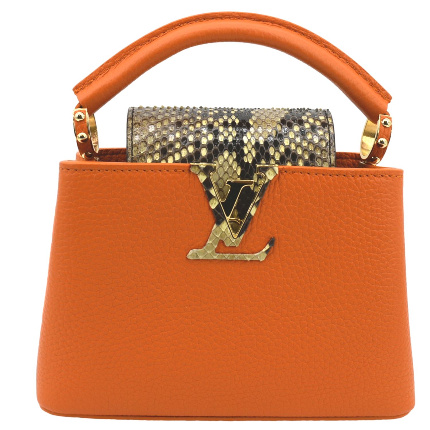 Louis Vuitton Capucines Handbag