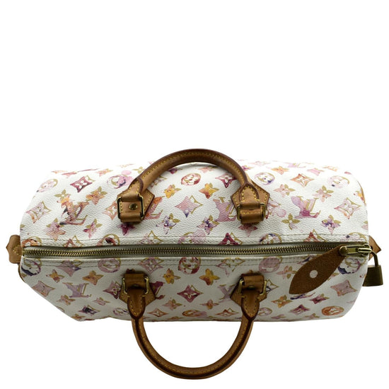 Richard Prince x Louis Vuitton Monogram Watercolor Speedy 30