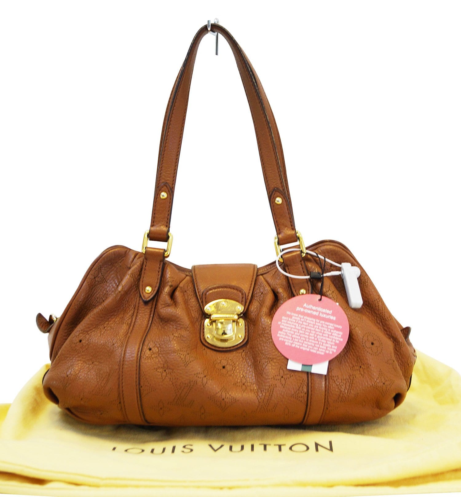 Louis Vuitton Authenticated Suede Handbag