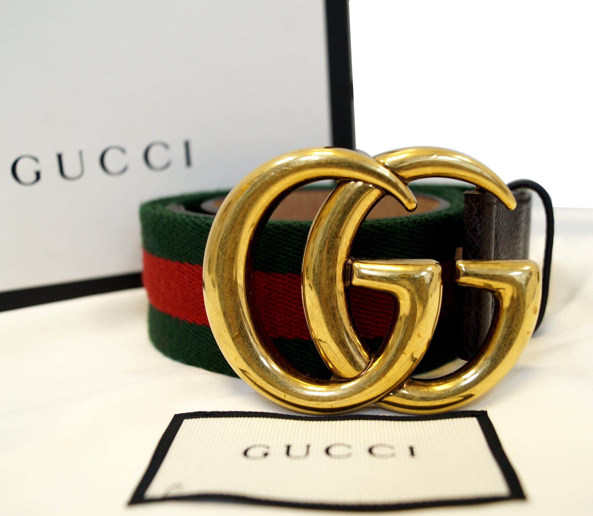 Gucci Web Belt with G Buckle