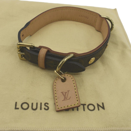LV Collar- YES!  Louis vuitton dog collar, Designer dog collars, Baxter dog