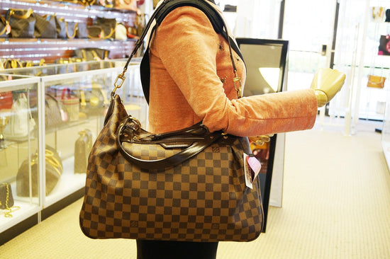 Louis Vuitton Favorite MM Damier Ebene Canvas Purses - Lv Bags