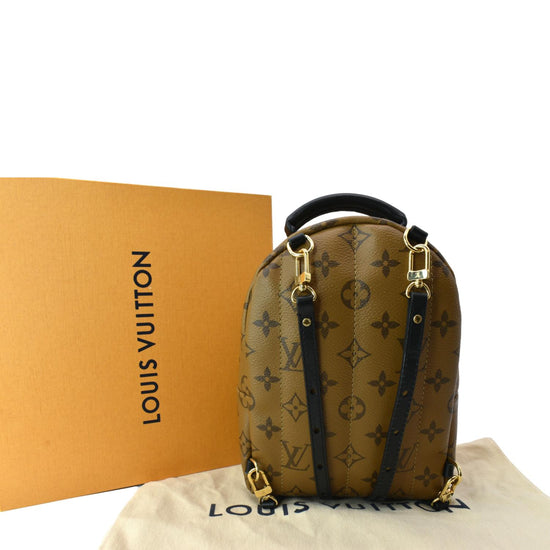 Louis Vuitton Ebene Reverse Monogram Coated Canvas Mini Palm Springs  Backpack Gold Hardware, 2021 Available For Immediate Sale At Sotheby's