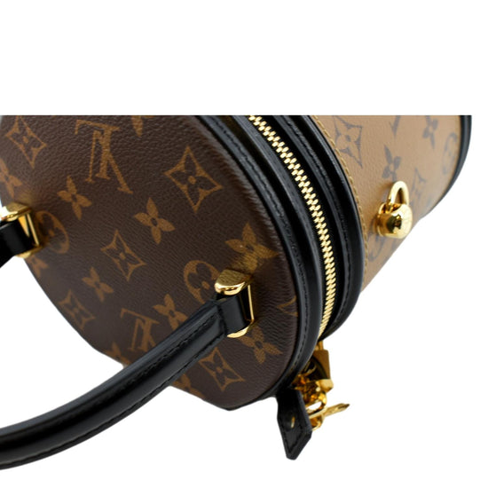 Louis Vuitton Cannes Shoulder bag 377527