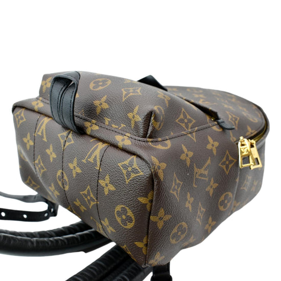 Louis Vuitton Monogram Palm Spring PM - Brown Backpacks, Handbags -  LOU787257