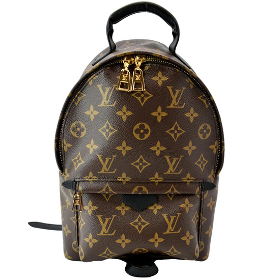 Palm springs cloth backpack Louis Vuitton Brown in Cloth - 26164588