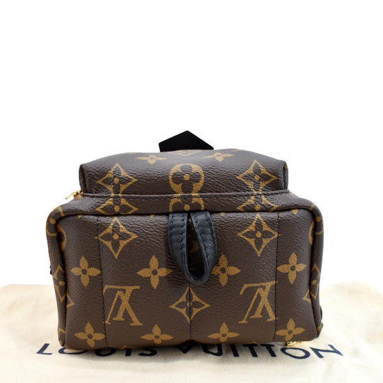 Palm springs cloth backpack Louis Vuitton Brown in Cloth - 26164588