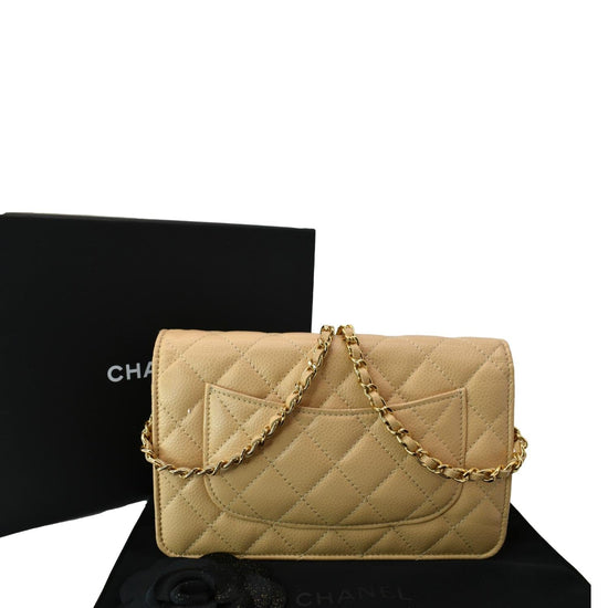 CHANEL Metallic Canvas Quilted Space Charms Wallet On Chain WOC Silver  383338