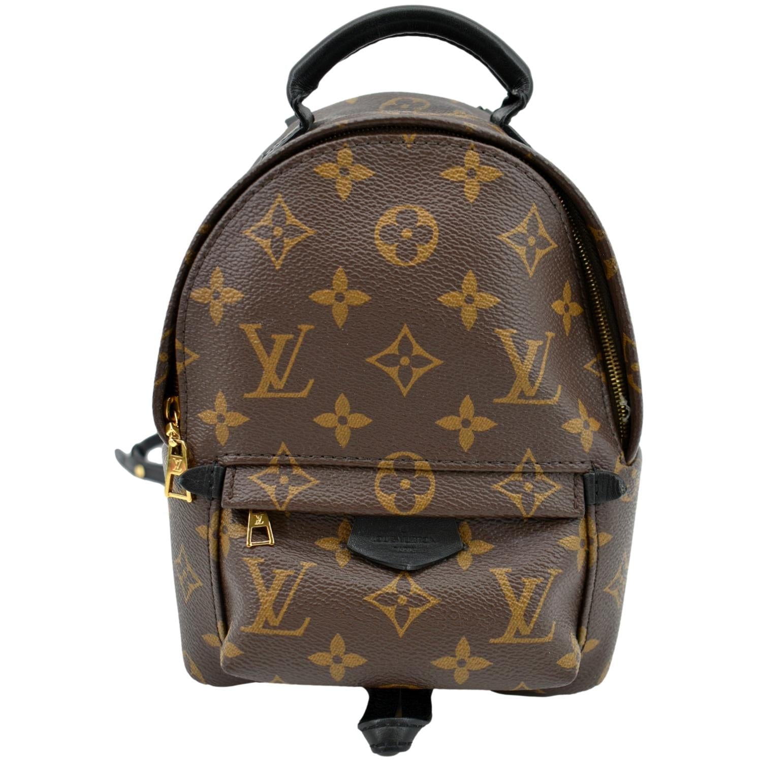 Louis Vuitton Palm Springs Mini