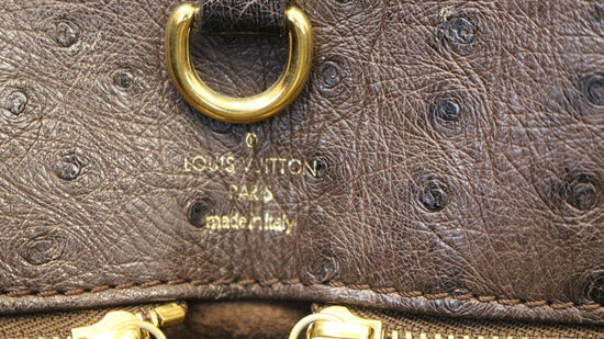 Louis Vuitton Exotique Etoile GM – AMUSED Co