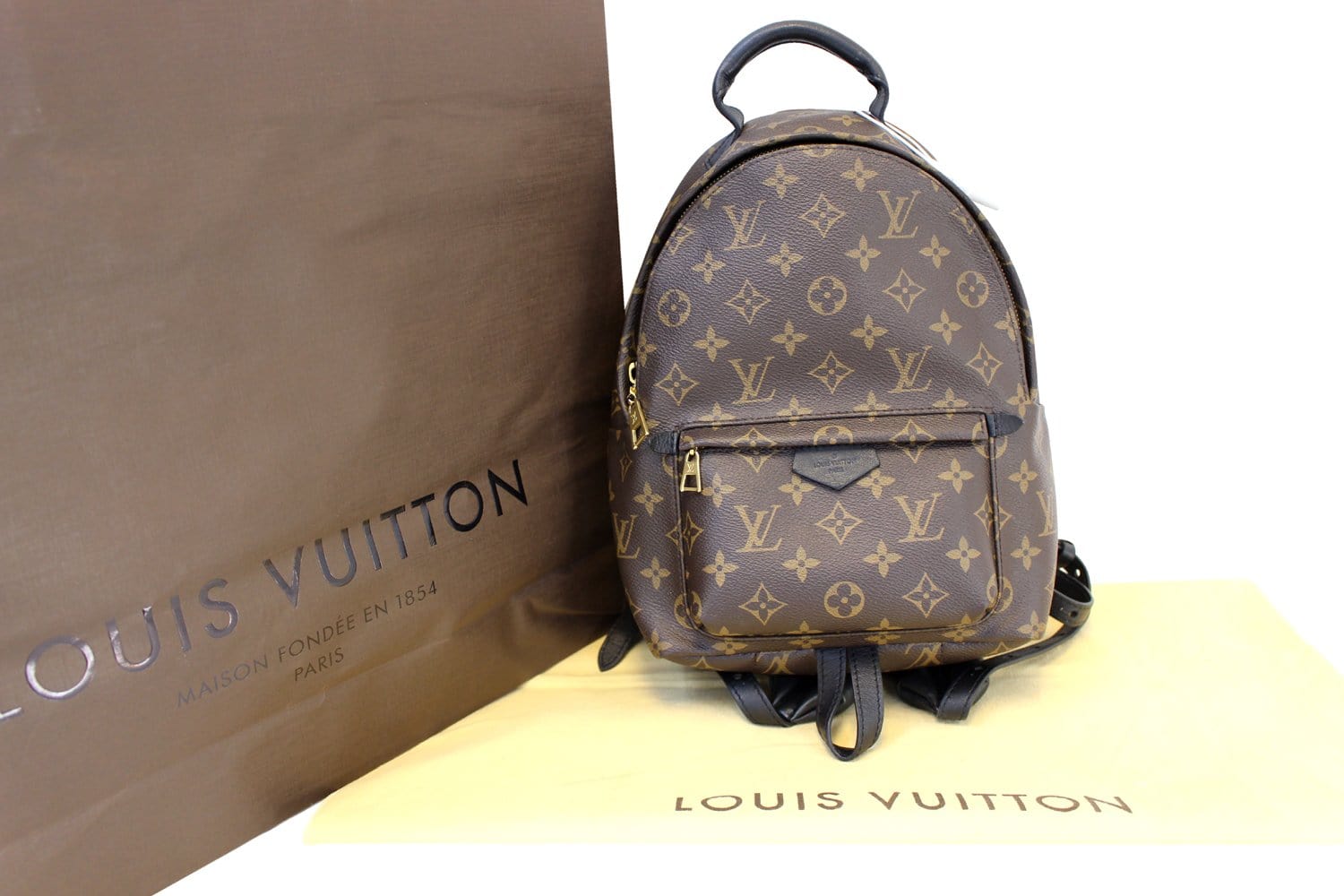 LOUIS VUITTON Monogram Canvas Palm Springs Backpack