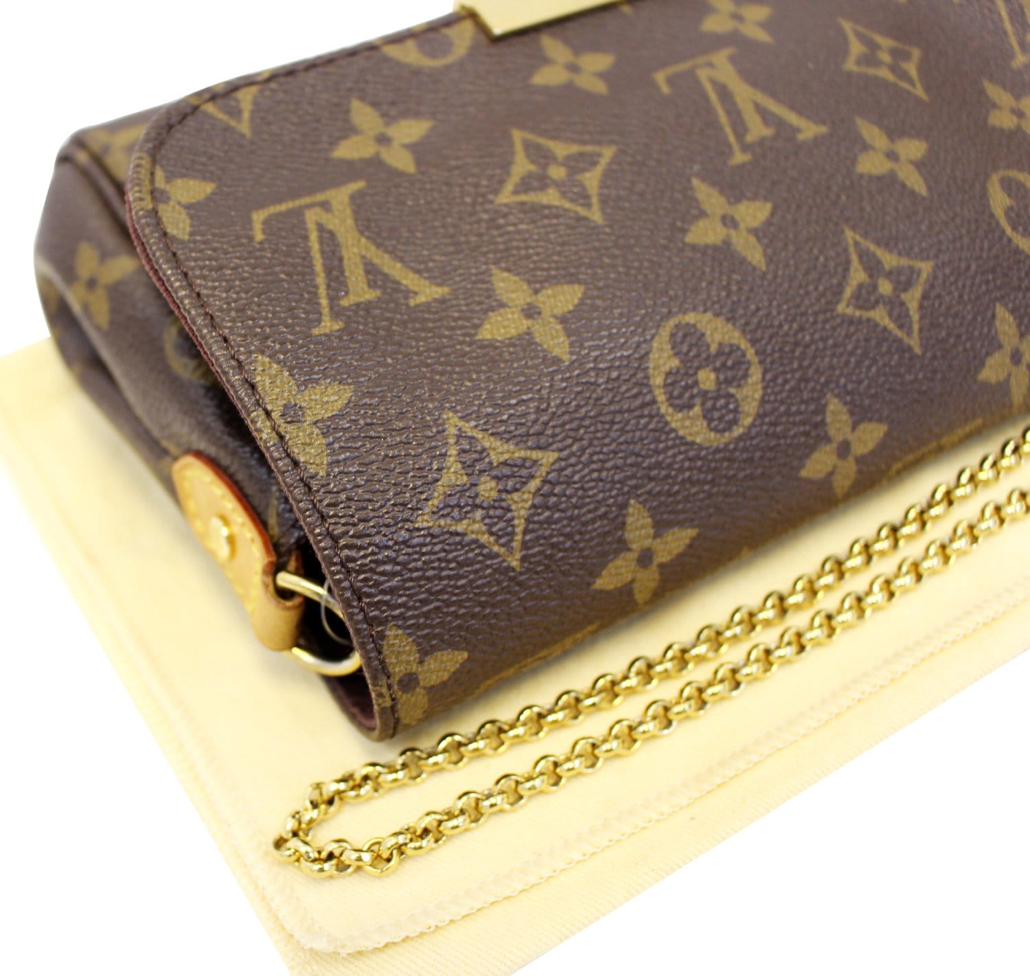 Lv Pouch With Chain  Natural Resource Department