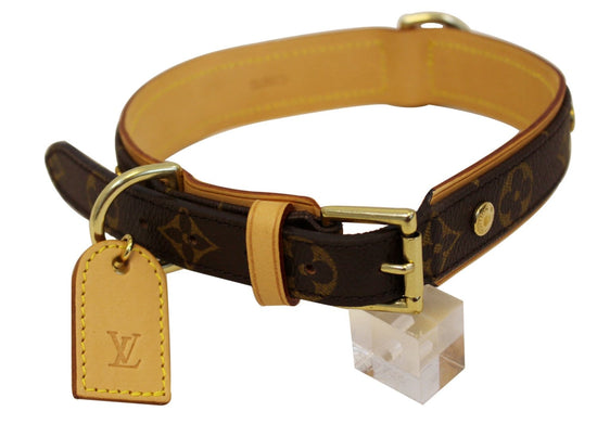 PUG & Louis Vuitton BAXTER monogram dog collar! 