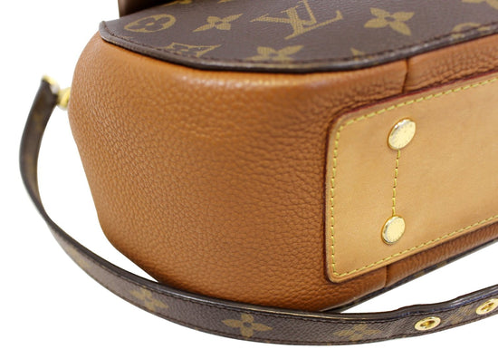 Louis Vuitton Monogram Canvas & Camel Leather Eden MM by WP