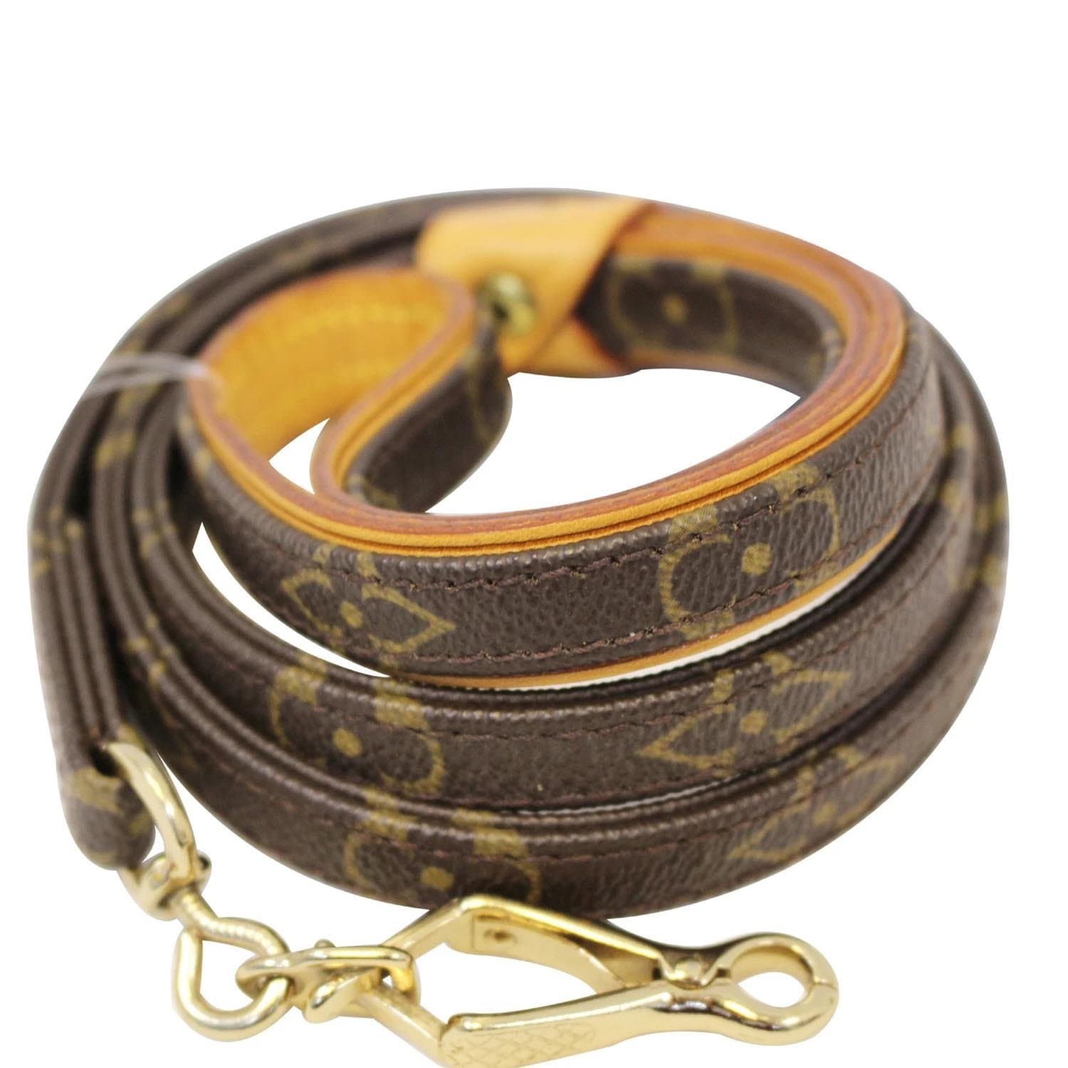 Louis Vuitton Monogram Baxter Dog Leash MM - Brown Pet Accessories, Decor &  Accessories - LOU761293