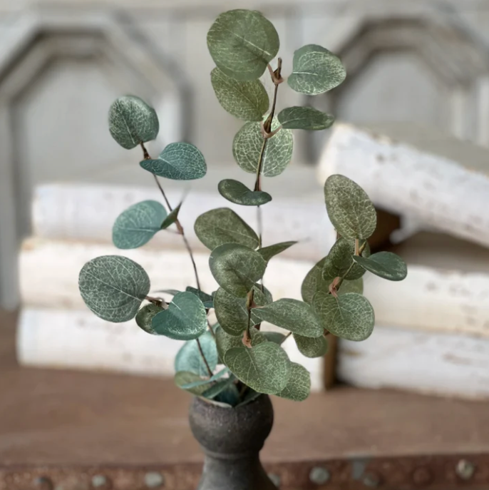 Garden Eucalyptus Pick